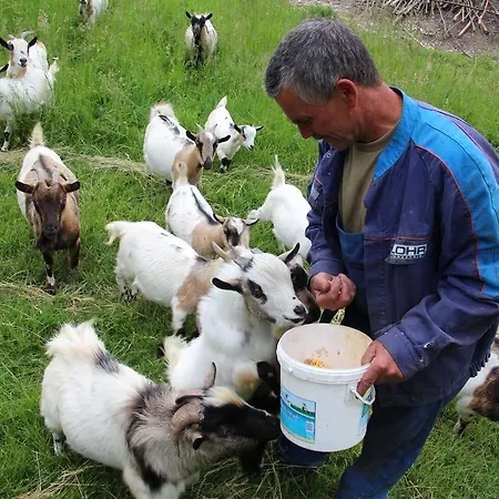 Chateau De Lacaze فندق مبيت وإفطار Lagarrigue (Lot-et-Garonne)