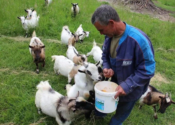 Chateau De Lacaze Bed & Breakfast Lagarrigue (Lot-et-Garonne)